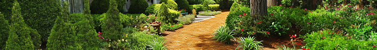 LANDSCAPE DESIGN SERVICES Pelham Alabama