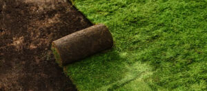 New Sod Birmingham Alabama