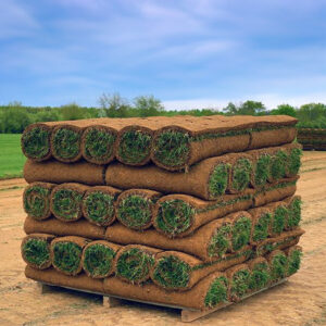 installing sod in Mountain Brook alabama