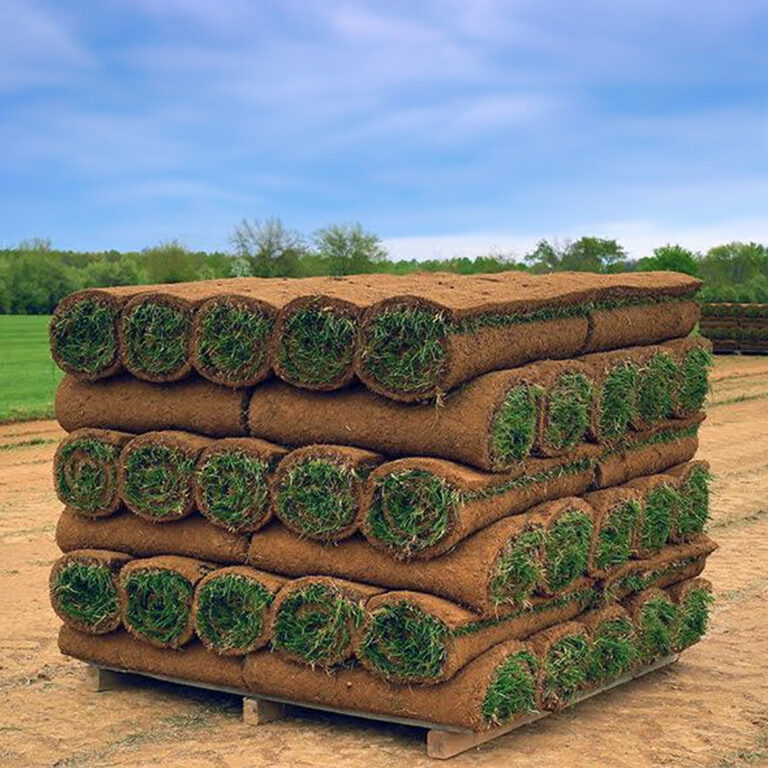 installing sod in Mountain Brook alabama