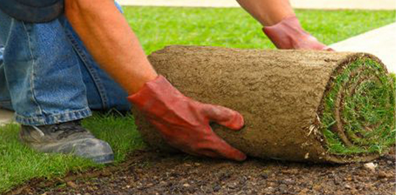 installing sod in birmingham alabama