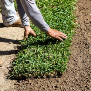 sod installing company Hoover alabama