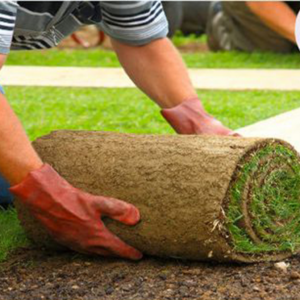 sod installing company birmingham alabama