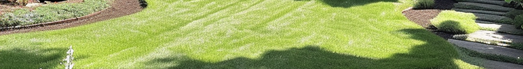 sod instilation Hoover alabama